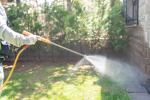 Best Local Pest Control Services  in Bel Air, MD