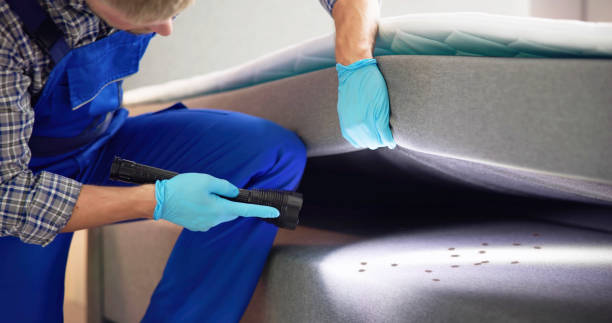 Best Residential Pest Control  in Bel Air, MD