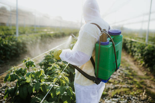 Best Insect Control  in Bel Air, MD